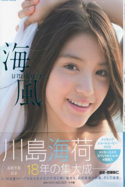 金瓶梅哪里能看